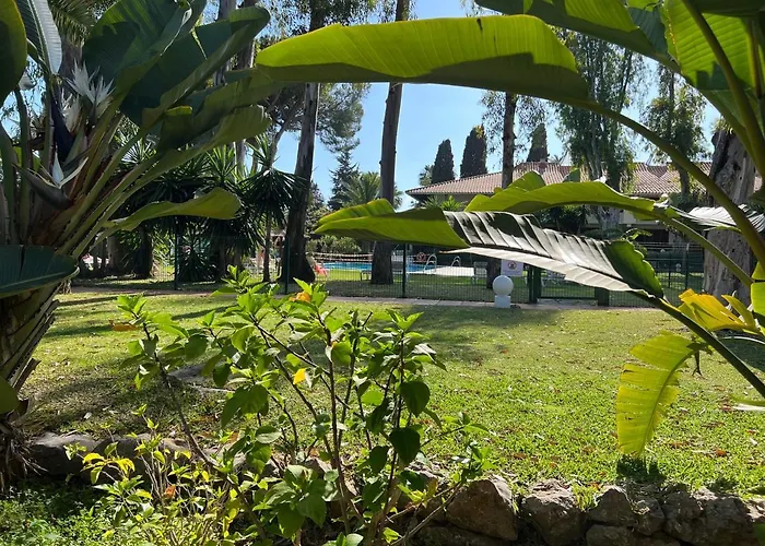 Paris I & Paris Ii *